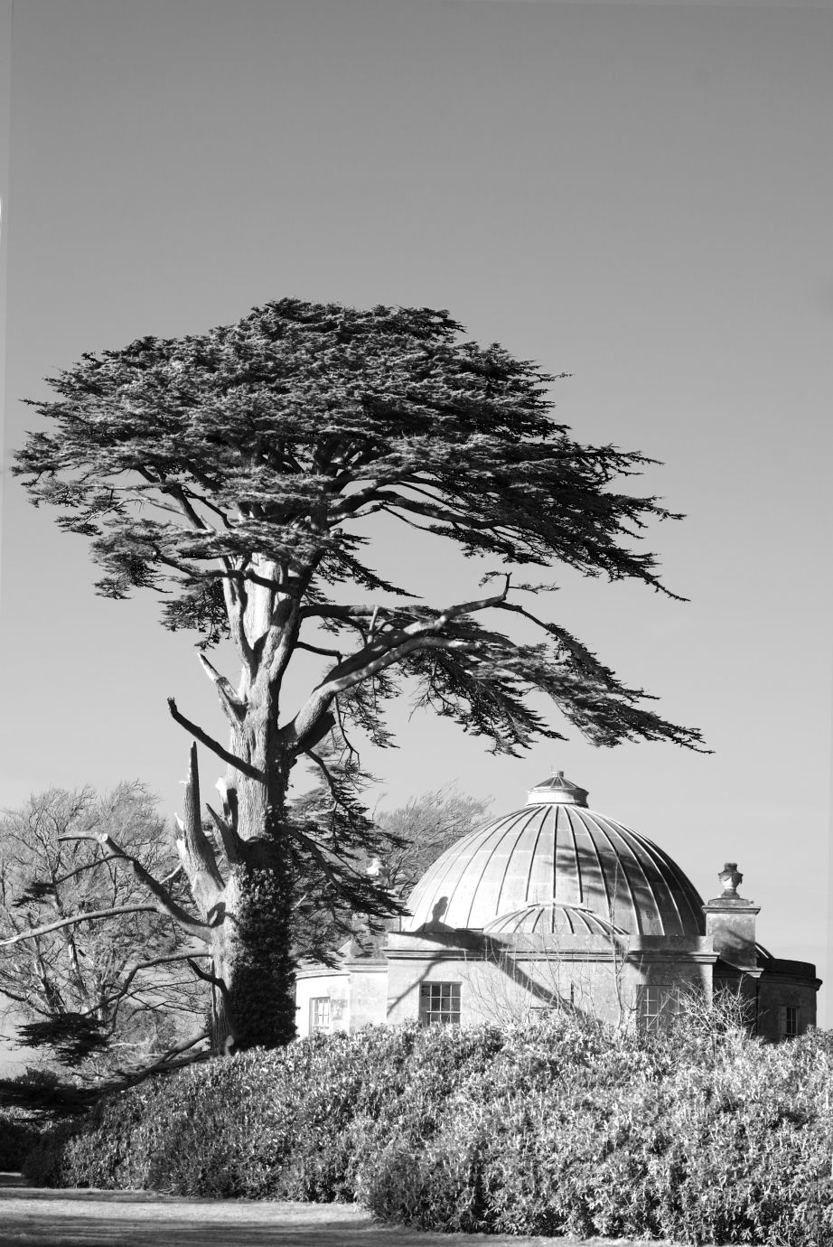 Chapel-tree-shadow-monochrome-Lulworth Castle-Dorset-1793-27022022