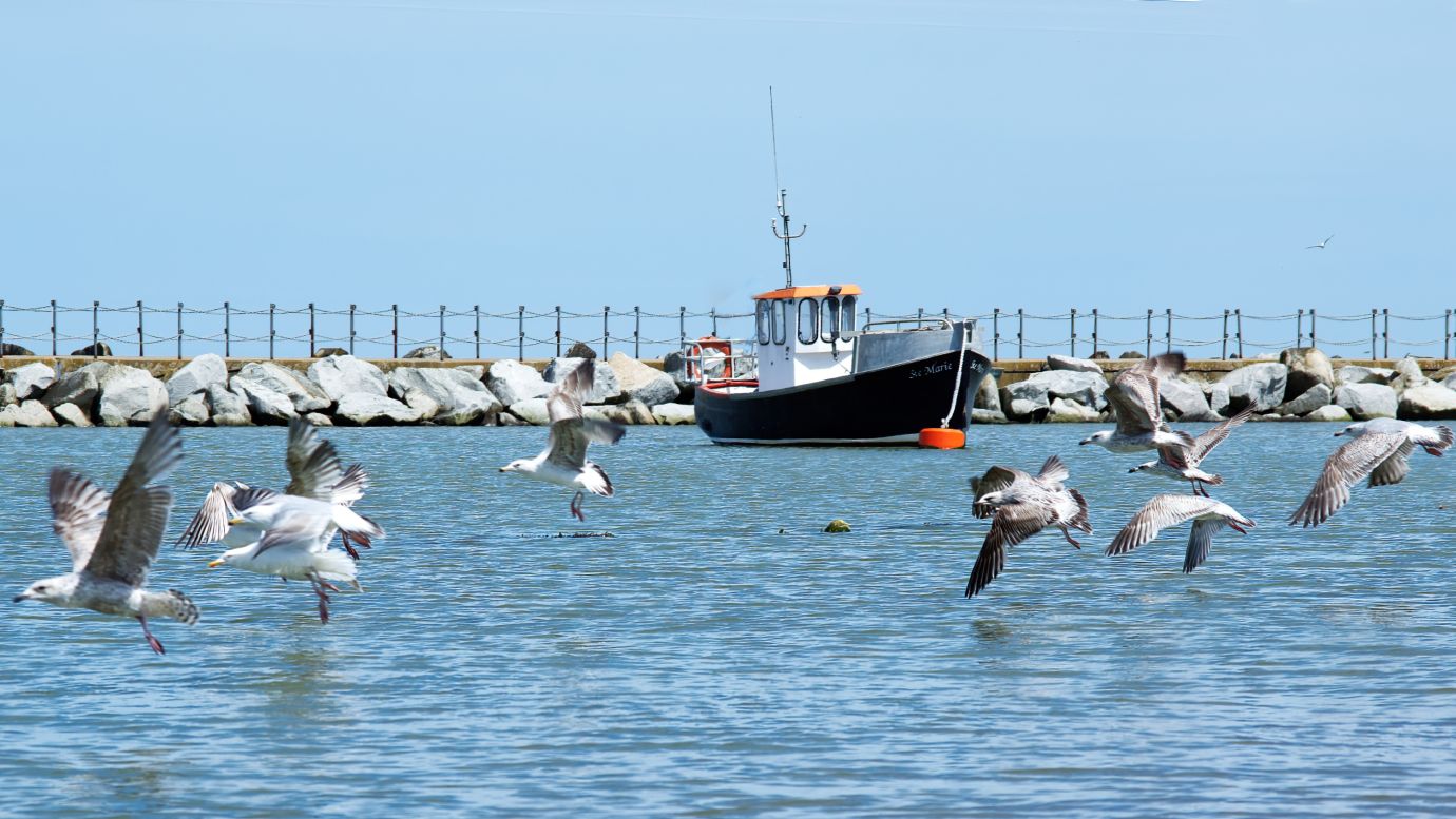 Fishing-boat-seagulls-flying-rock-barrier-Herne-Bay-Kent-0572-11052021