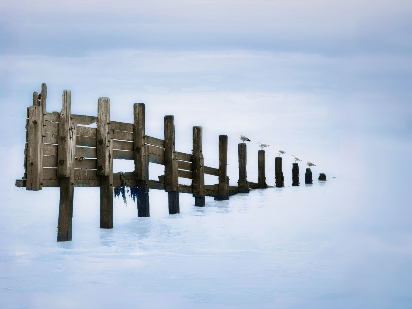 Groyne-seagulls-sea-fine-art-Climping-West-Sussex-3991-13112021