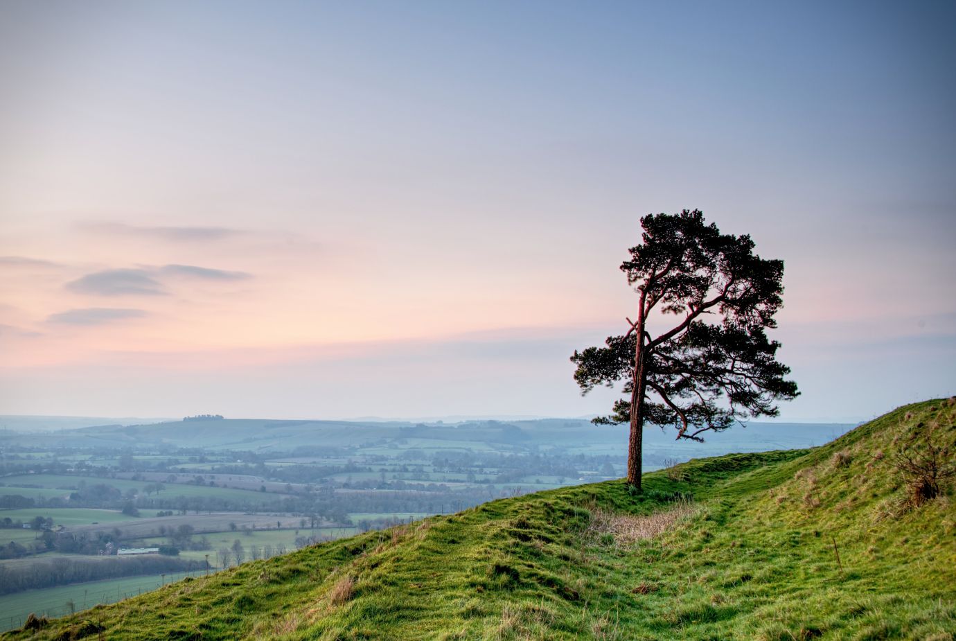 Lone-tree-Scots-Pine-Martinsell-Hill-sunrise-Pewsey-Vale-Wiltshire-7770to74-02032023