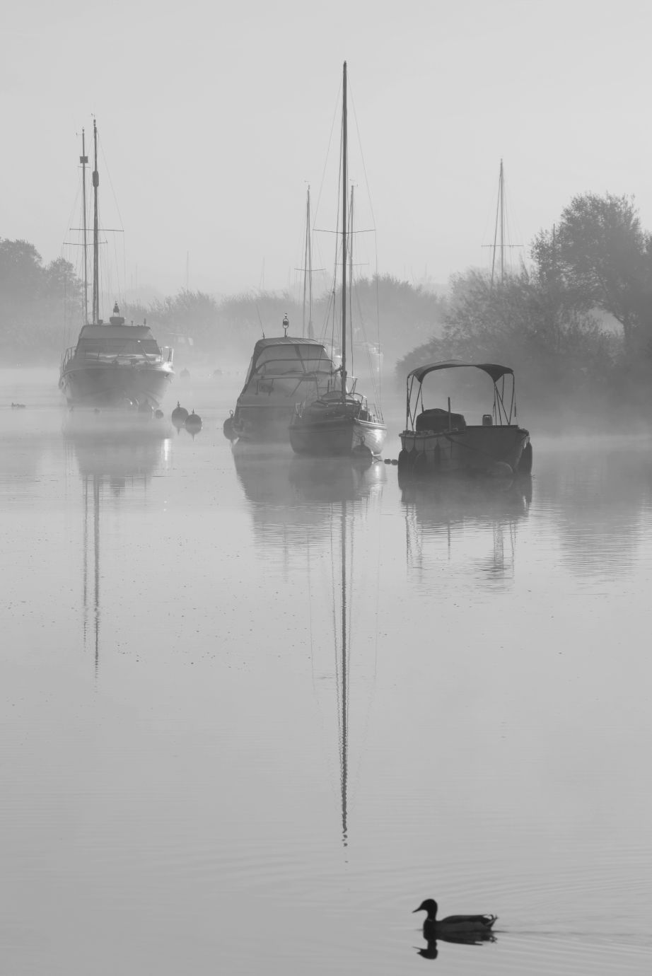 River-Frome-boats-mist-reflections-Wareham-Dorset-6231-03112021