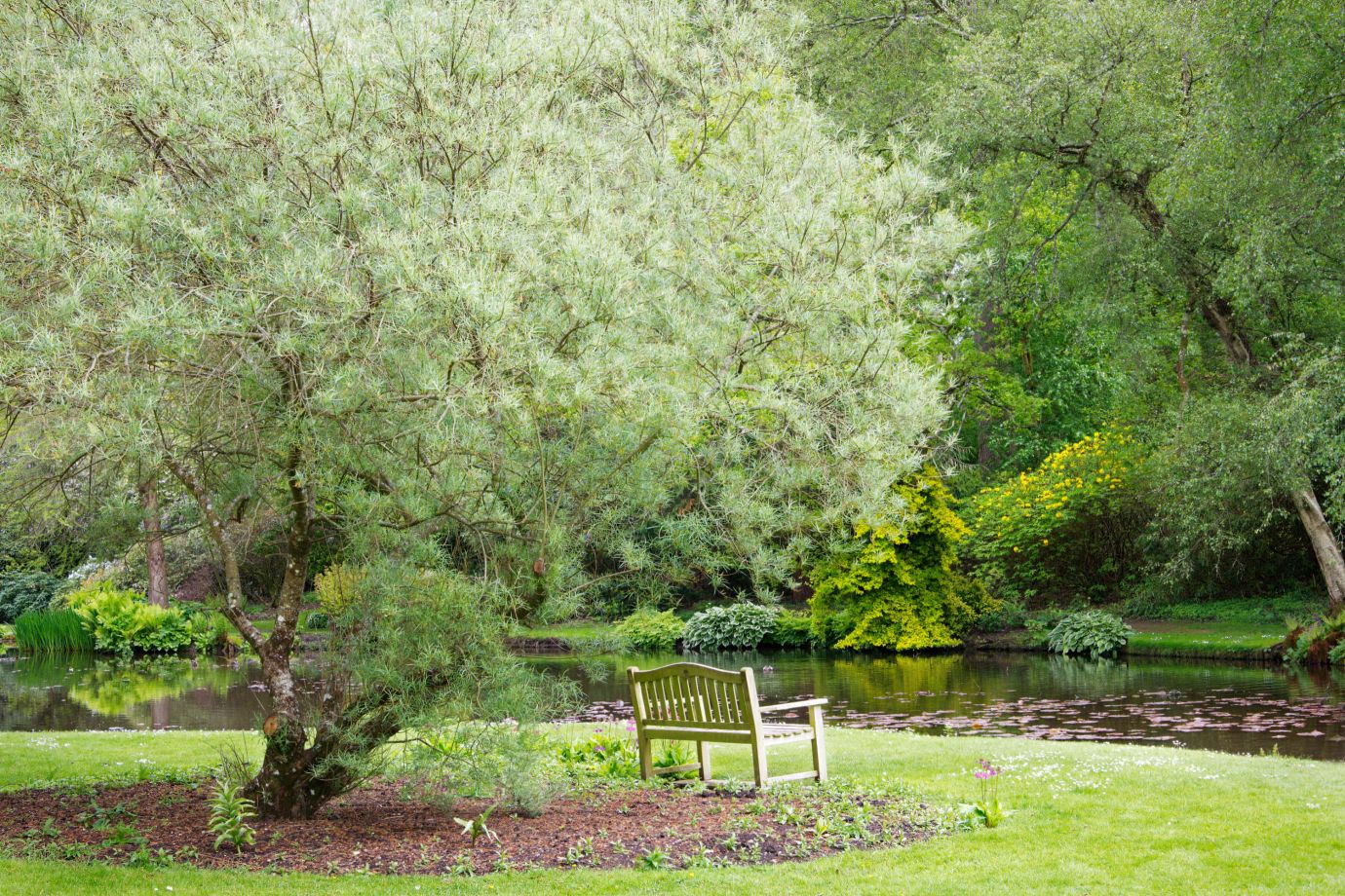 Rosemary-willow-bench-Longstock-park-water-garden-Hampshire-9689-17052023