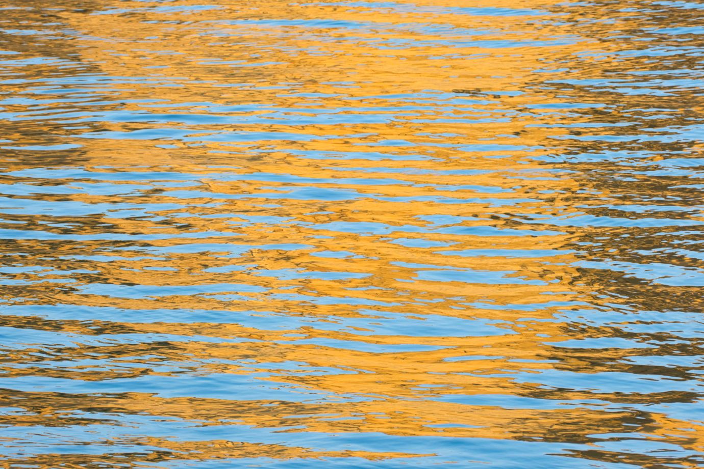 Sea-reflections-west-bay-cliffs-dorset-2163-09052024