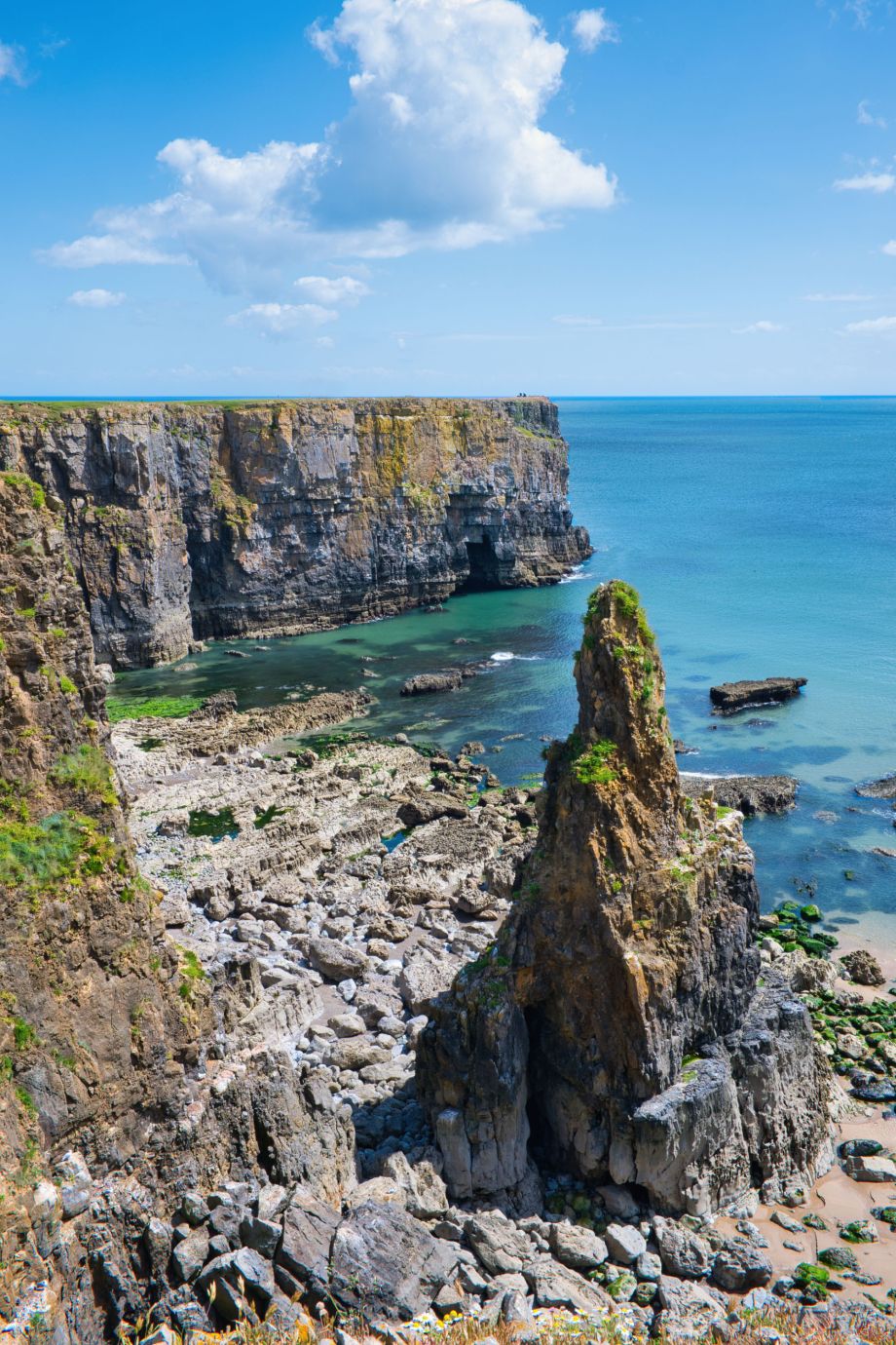 Stackpole-Head-sea-stack-Pembrokeshire-Wales-F2743-10062024