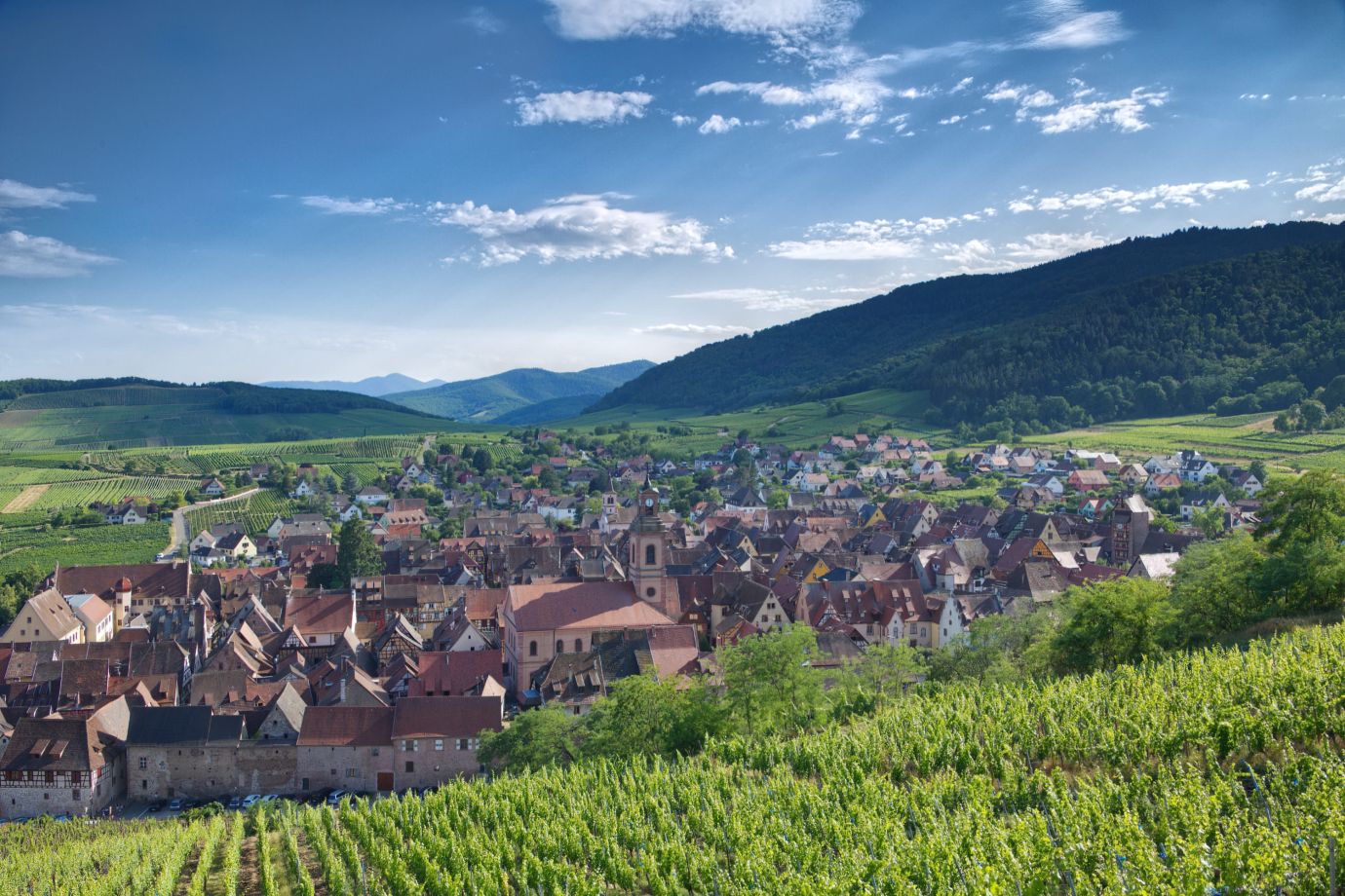 Vines-mountains-town-Riquewihr-Alsace-France-4903-07072023