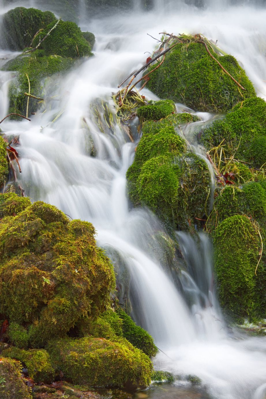 Waterfall-rocks-moss-Little-Bredy-Dorset-1104-25022022