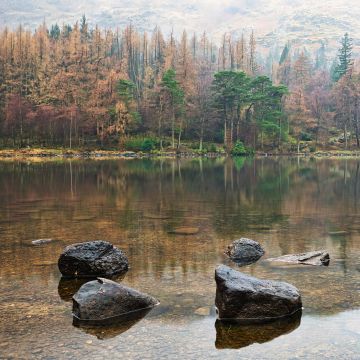 Blea-Tarn-reflections-rocks-trees-hills-spring-Lake-District-Cumbria-1029-12022024