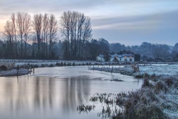 River-Test-sunrise-reflections-frost-cottage-cow-common-Hampshire-3747to49-13122022