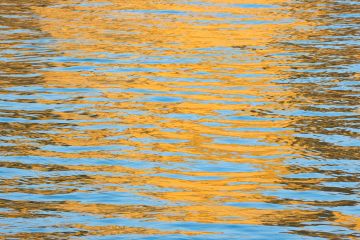 Sea-reflections-west-bay-cliffs-dorset-2163-09052024