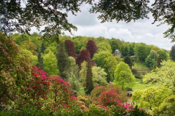 Temple-of-Apollo-Stourhead-Wilshire-0120-09052019