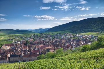Vines-mountains-town-Riquewihr-Alsace-France-4903-07072023