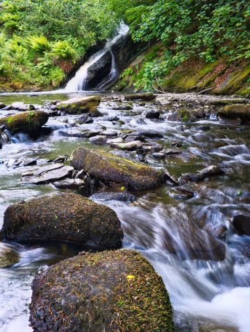 Waterfall-rocks-moss-Hafern-Forest-Powys-Wales-F2224-06062024